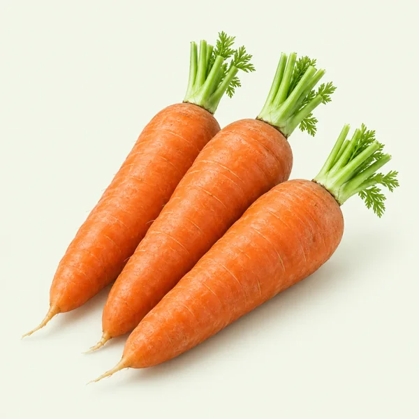 Havuç